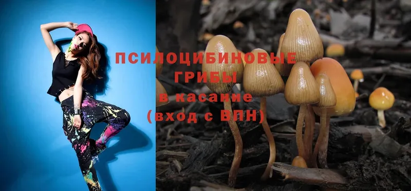 купить наркотики цена  Красный Сулин  Псилоцибиновые грибы Cubensis 